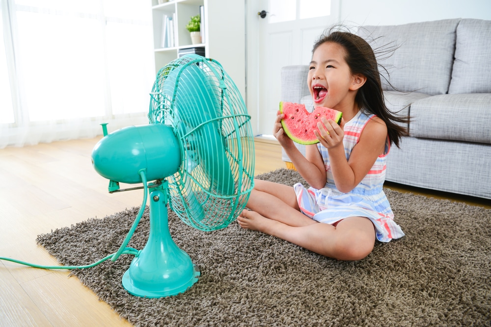 10 Ways to Reduce Heat in Your Home this Summer - All About Shade SM