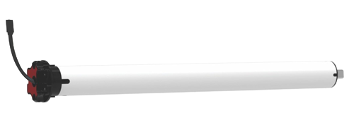 wseb