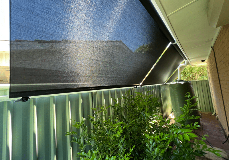 Roof-to-fence-shade-solution-plants