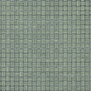 visiontex-evergreen